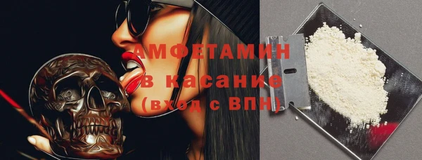 сатива Новокубанск