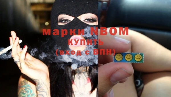 сатива Новокубанск