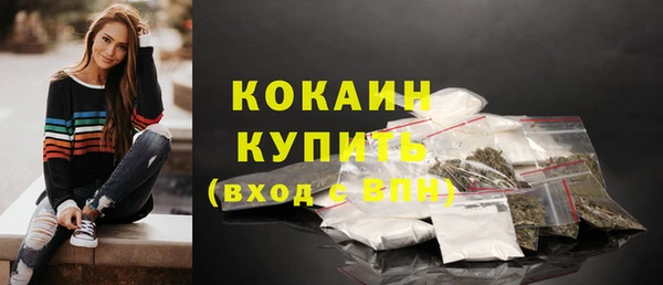 сатива Новокубанск