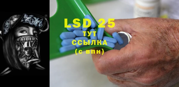 сатива Новозыбков