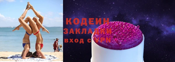 сатива Новозыбков