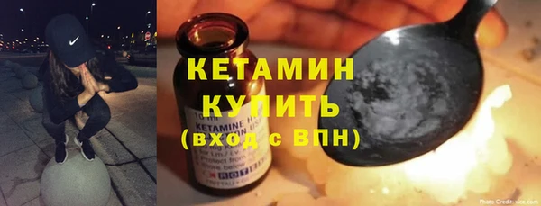 сатива Новозыбков