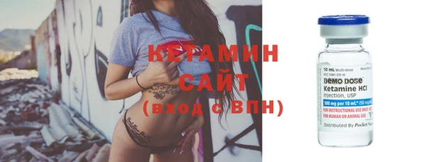 сатива Новозыбков