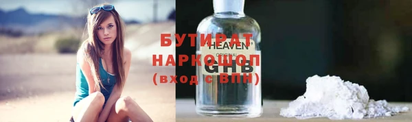 сатива Новокубанск