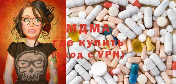 сатива Новозыбков