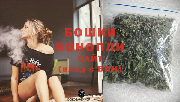 сатива Новокубанск