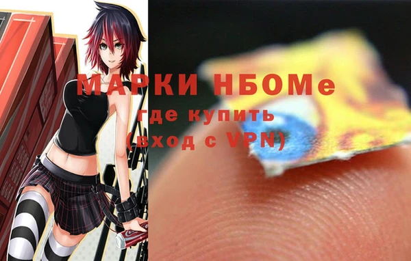 сатива Новозыбков