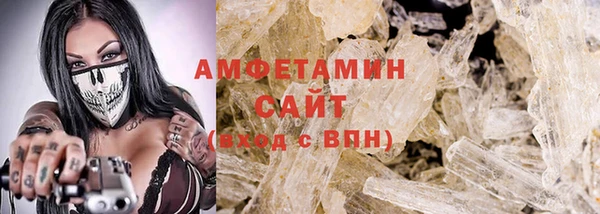 сатива Новозыбков