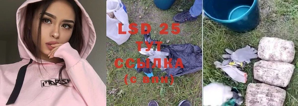 сатива Новокубанск