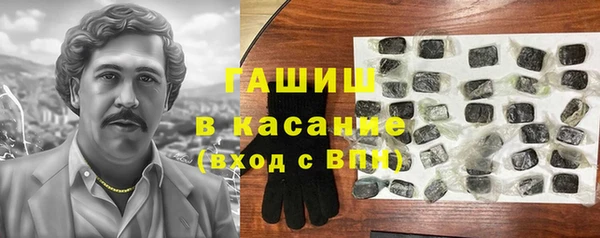 сатива Новозыбков