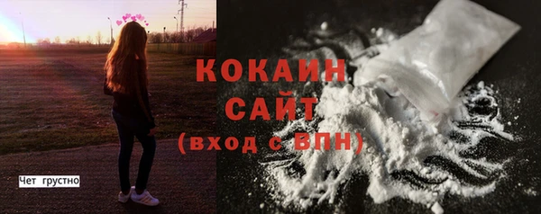 сатива Новозыбков