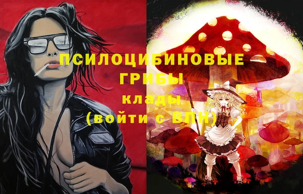дмт Осташков