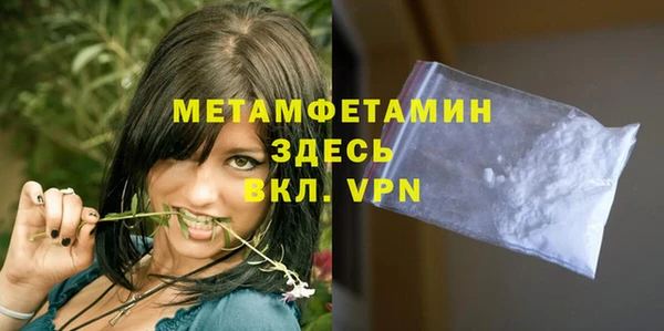 сатива Новозыбков